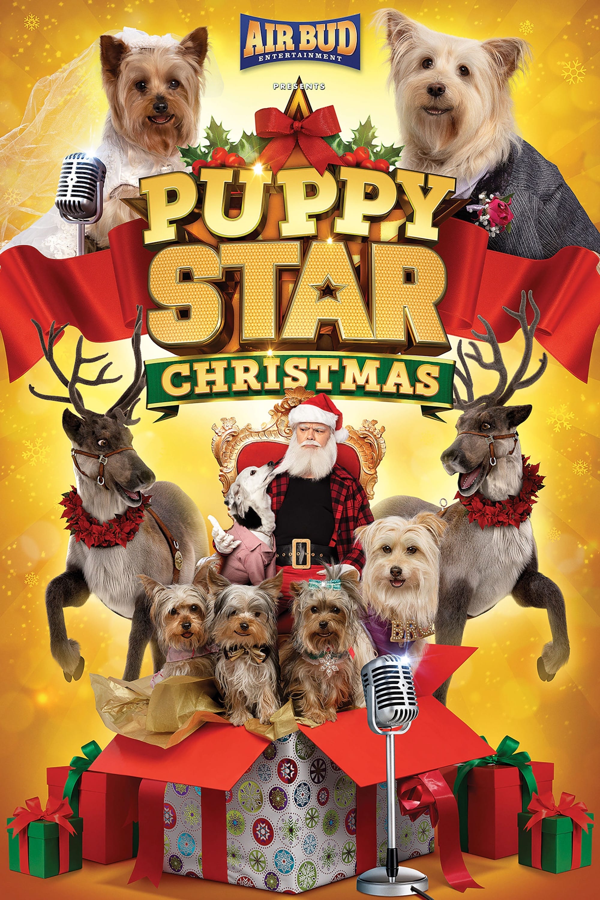 Постер Puppy Star Christmas